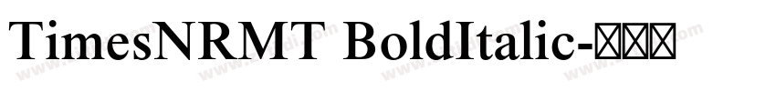 TimesNRMT BoldItalic字体转换
